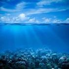 Andrey Kuzmin/stock.adobe.com