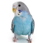 Feng Yu/stock.adobe.com