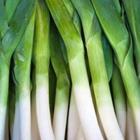 Schmidt/stock.adobe.com