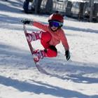 Olya Lytvyn/Shutterstock.com