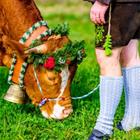 FooTToo/Shutterstock.com