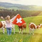 Alexander Chaikin/Shutterstock.com