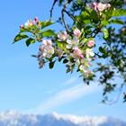 Zeitgugga6897/Shutterstock.com