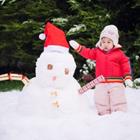 Mcimage/Shutterstock.com