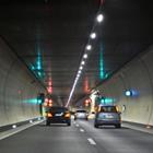 Andrzej Puchta/Shutterstock.com