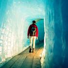 nullplus/Shutterstock.com