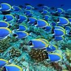 aquapix/stock.adobe.com
