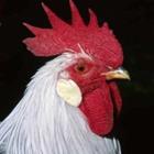 Omika/stock.adobe.com