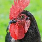 axepe/stock.adobe.com