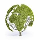 Mopic/stock.adobe.com