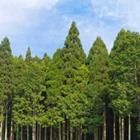 line-of-sight/stock.adobe.com