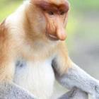 davidevison/stock.adobe.com