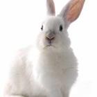 kreativ1/stock.adobe.com