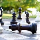 cirquedesprit/stock.adobe.com