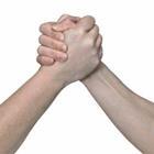 PRILL Mediendesign/stock.adobe.com