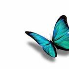 sunny07/stock.adobe.com