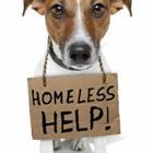 javier brosch/stock.adobe.com