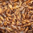 pzAxe/stock.adobe.com