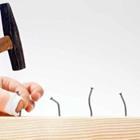 Miredi/stock.adobe.com