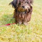 Blackosaka/stock.adobe.com