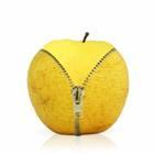 viperagp/stock.adobe.com