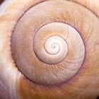 Nailia Schwarz/stock.adobe.com