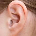 Vladimir Voronin/stock.adobe.com