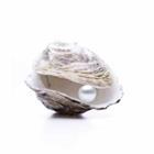 by-studio/stock.adobe.com