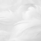 pegasusart/stock.adobe.com