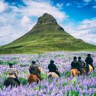 Blue Planet Studio/Shutterstock.com