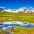 kavram/Shutterstock.com