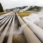 N.Minton/Shutterstock.com