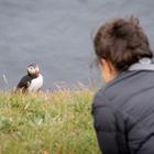 1tomm/Shutterstock.com