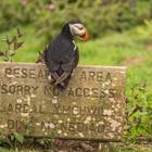 D M Smith Images/Shutterstock.com