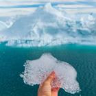 Maridav/Shutterstock.com