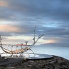 Anastasiia Skorobogatova/Shutterstock.com