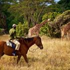 tonyzhao120/Shutterstock.com