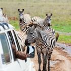 Avatar_023/Shutterstock.com