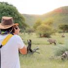 Zephyr_p/Shutterstock.com