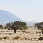 DextairPhotography/Shutterstock.com