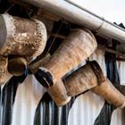 Patrick Messier/Shutterstock.com