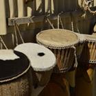 Lydia May/Shutterstock.com