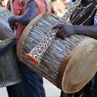 Raquel Pedrosa/Shutterstock.com