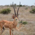 OliverZeid/Shutterstock.com