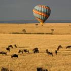 bumihills/Shutterstock.com