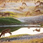 StanislavBeloglazov/Shutterstock.com