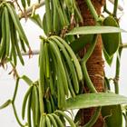 SIJO88871/Shutterstock.com