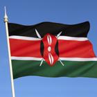 Steve Allen/Shutterstock.com