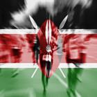 Trybex/Shutterstock.com