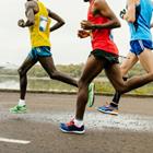 sportpoint/Shutterstock.com